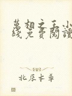 万相之王小说在线免费阅读