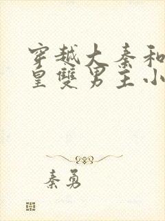 穿越大秦和秦始皇双男主小说