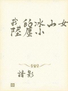 我的冰山女总裁陆尘小