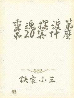 灵魂摆渡第二季第20集什么意思