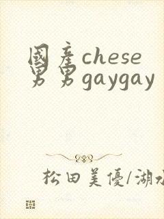 国产chese男男gaygay