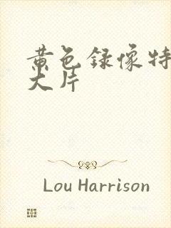 黄色录像特一级大片