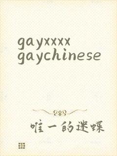 gayxxxxgaychinese