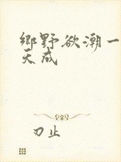 乡野欲潮一一林天成封面