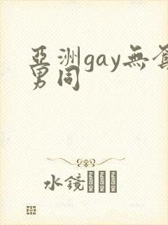 亚洲gay无套男同