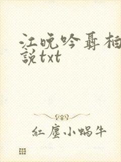 江晚吟聂柏陵小说txt