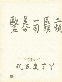 欧美一区二区三区公司视频