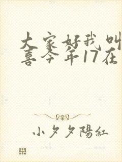 大家好我叫林小喜今年17在线阅读封面