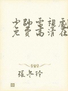 少帅电视剧全集免费高清在线