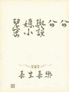 儿媳与公公的秘密小说