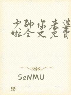 少帅你老婆又跑啦全文免费阅读