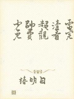 少帅超清电视剧免费观看完整版封面