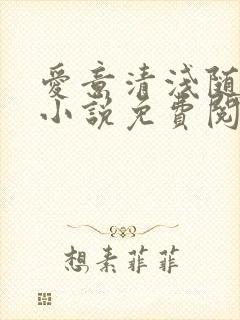 爱意清浅随风离小说免费阅读