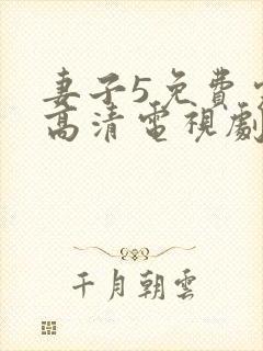 妻子5免费完整高清电视剧