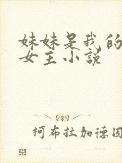 妹妹是我的主人女主小说