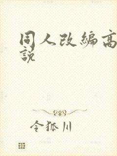 同人改编高h小说封面