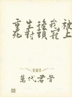 重生后我被渣男死对头宠上天短剧封面