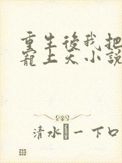 重生后我把夫君宠上天小说