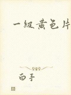 一级黄色片夫妻