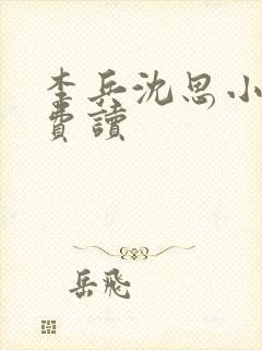 李兵沈思小说免费读封面