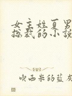 女主姓夏男主是总裁的小说