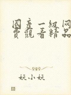 国产一级网站免费观看精品