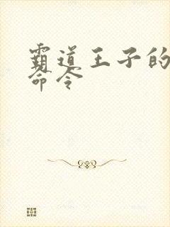 霸道王子的绝对命令