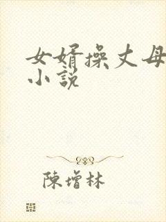 女婿操丈母娘逼小说