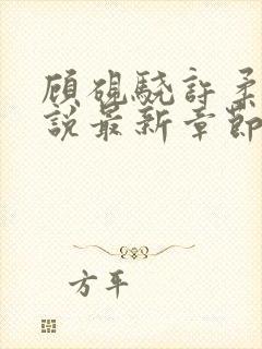 顾砚骁许柔汐小说最新章节更新时间