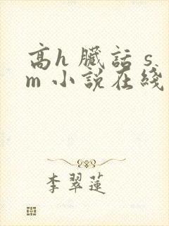 高h 脏话 sm 小说在线观看
