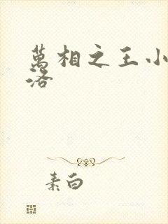 万相之王小说李洛封面