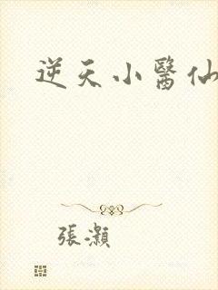 逆天小医仙小说