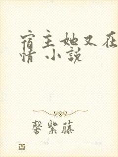 宿主她又在崩剧情 小说