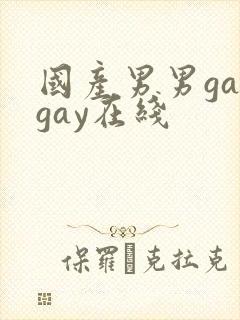 国产男男gaygay在线封面