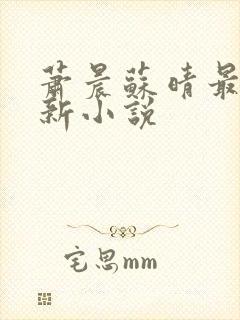 萧晨苏晴最新更新小说