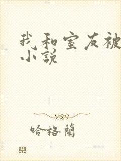 我和室友被调教小说封面