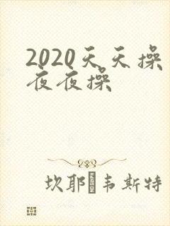 2020天天操夜夜操