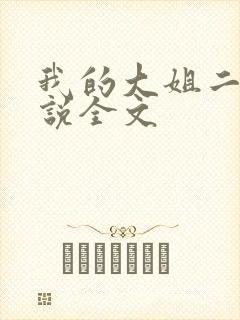 我的大姐二姐小说全文封面