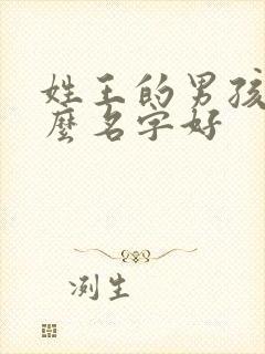 姓王的男孩起什么名字好封面