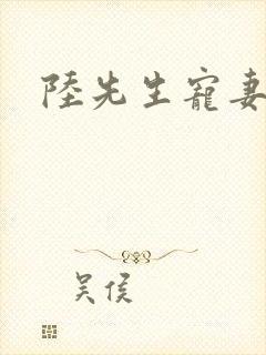 陆先生宠妻无度