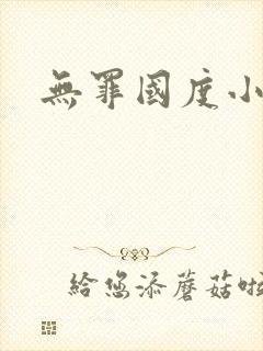 无罪国度小说封面