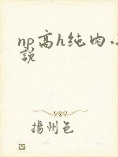 np高h纯肉小说封面