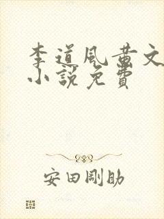 李道风黄文茵的小说免费