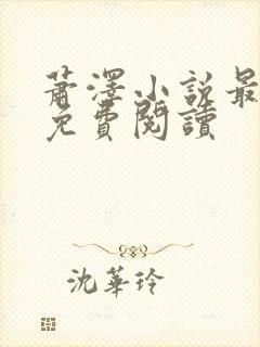 萧泽小说最新版免费阅读