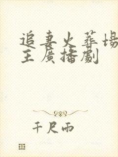 追妻火葬场双男主广播剧