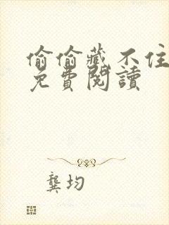 偷偷藏不住完整免费阅读