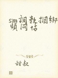 sm调教捆绑视频网站封面