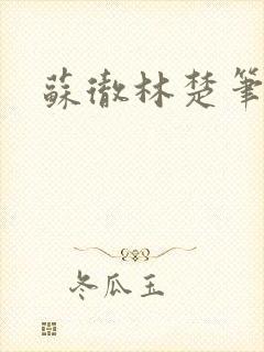 苏彻林楚笔趣阁