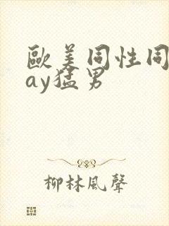 欧美同性同志gay猛男封面