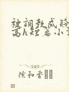 被调教成贱奴的高h短篇小说推荐